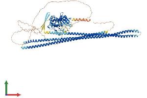 Protein Structure (PS) image for Serine/threonine Kinase 10 (STK10-A) (AA 1-966) protein (His tag) (ABIN7562478)