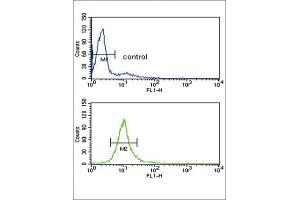Flow Cytometry (FACS) image for anti-Cytochrome P450, Family 51, Subfamily A, Polypeptide 1 (CYP51A1) antibody (ABIN3003944)