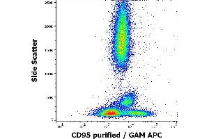 Flow cytometry surface staining pattern of human peripheral whole blood stained using anti-human CD95 (EOS9. (FAS 抗体)