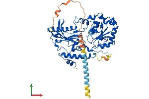 AlphaFold protein structure predicition of Mouse Recombinant Fut10 Protein, UniprotID Q5F2L2 (FUT10 Protein (AA 1-481) (His tag))