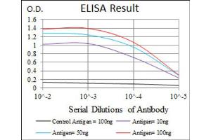 Red: Control Antigen (100ng) ; Purple: Antigen (10ng) ; Green: Antigen (50ng) ; Blue: Antigen (100ng). (FZD5 抗体  (AA 151-217))