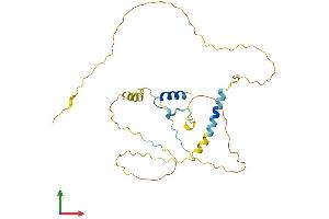 Protein Structure (PS) image for Ermin, ERM-Like Protein (ERMN) (AA 1-281) protein (His tag) (ABIN7557439)