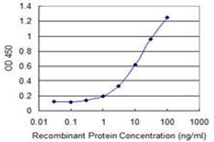 Detection limit for recombinant GST tagged RAB22A is 0. (RAB22A 抗体  (AA 1-194))