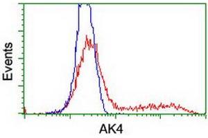 HEK293T cells transfected with either RC220572 overexpress plasmid (Red) or empty vector control plasmid (Blue) were immunostained by anti-AK4 antibody (ABIN2454651), and then analyzed by flow cytometry. (AK4 抗体)