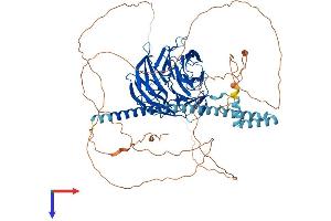 AlphaFold protein structure predicition of Mouse Recombinant Tle4 Protein, UniprotID Q62441 (TLE4 Protein (AA 1-773) (His tag))