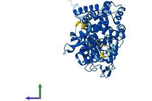 Protein Structure (PS) image for Prostaglandin I2 (Prostacyclin) Synthase (PTGIS) (AA 1-501) protein (His tag) (ABIN7562262)