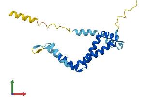 Protein Structure (PS) image for Rab Acceptor 1 (Prenylated) (RABAC1) (AA 1-185) protein (His tag) (ABIN7550894)