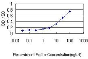 Detection limit for recombinant GST tagged STAMBP is approximately 0. (STAMBP 抗体  (AA 1-424))