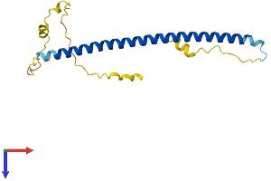 JDP2 Protein (AA 1-163) (His tag)