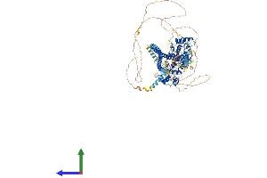 Protein Structure (PS) image for PTPRF Interacting Protein, Binding Protein 1 (Liprin beta 1) (PPFIBP1) (AA 1-1011) protein (His tag) (ABIN7554412)
