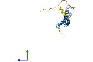AlphaFold protein structure predicition of Mouse Recombinant Med22 Protein, UniprotID Q62276