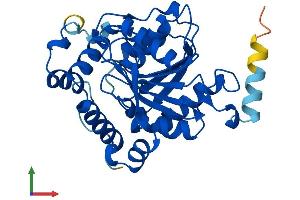 Protein Structure (PS) image for Spastic Paraplegia 21 (SPG21) (AA 1-308) protein (His tag) (ABIN7560530)