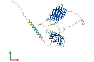 Protein Structure (PS) image for Synaptotagmin IV (SYT4) (AA 1-425) protein (His tag) (ABIN7544063)