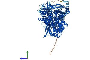 Protein Structure (PS) image for Aldehyde Dehydrogenase 1 Family, Member L2 (ALDH1L2) (AA 1-923) protein (His tag) (ABIN7552140)