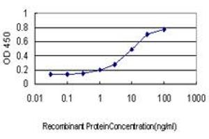 Detection limit for recombinant GST tagged APOM is approximately 0. (Apolipoprotein M 抗体  (AA 23-188))