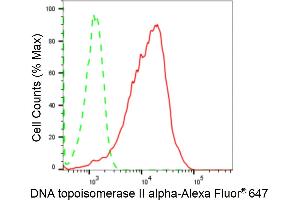 Flow cytometric analysis of DNA topoisomerase II alpha expression in HepG2 cells using DNA topoisomerase II alpha antibody (ABIN7800574), 1:2,000).