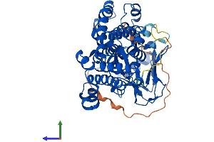 Protein Structure (PS) image for SET Domain Containing 6 (SETD6) (AA 1-473) protein (His tag) (ABIN7560694)