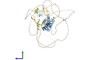 Protein Structure (PS) image for Male-Specific Lethal 2 Homolog (MSL2) (AA 1-577) protein (His tag) (ABIN7564020)