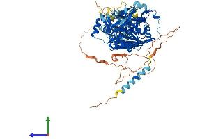 Protein Structure (PS) image for UDP-N-Acetyl-alpha-D-Galactosamine:polypeptide N-Acetylgalactosaminyltransferase 14 (GalNAc-T14) (GALNT14) (AA 1-639) protein (His tag) (ABIN7554025)