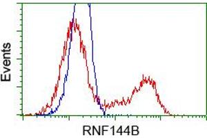 HEK293T cells transfected with either RC209302 overexpress plasmid(Red) or empty vector control plasmid(Blue) were immunostained by anti-RNF144B antibody(TA500705), and then analyzed by flow cytometry. (RNF144B 抗体  (AA 1-256))