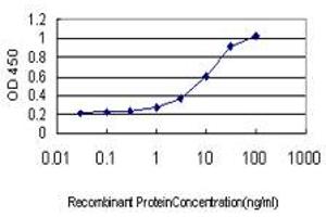 Detection limit for recombinant GST tagged INPPL1 is approximately 0. (INPPL1 抗体  (AA 1159-1258))