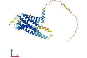 AlphaFold protein structure predicition of Human Recombinant GPR157 Protein, UniprotID Q5UAW9