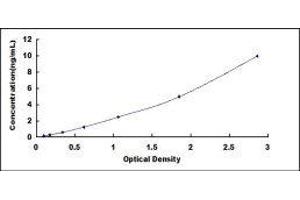 Chemokine (C-X-C Motif) Receptor 4 (CXCR4) ELISA Kit
