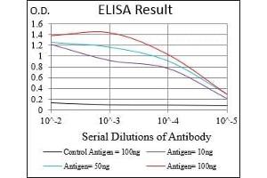 Black line: Control Antigen (100 ng), Purple line: Antigen(10 ng), Blue line: Antigen (50 ng), Red line: Antigen (100 ng),