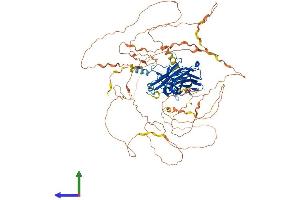 AlphaFold protein structure predicition of Mouse Recombinant Nfatc4 Protein, UniprotID Q8K120