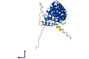 Protein Structure (PS) image for Armadillo Repeat Containing 10 (ARMC10) (AA 1-343) protein (His tag) (ABIN7552302)