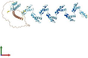 Protein Structure (PS) image for Zinc Finger Protein 85 (ZNF85) (AA 1-595) protein (His tag) (ABIN7545854)