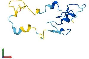 Protein Structure (PS) image for Cysteine-Rich PDZ-Binding Protein (CRIPT) (AA 1-101) protein (His tag) (ABIN7546768)