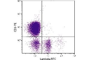 Chicken peripheral blood lymphocytes were stained with Mouse Anti-Chicken Lambda-FITC. (小鼠 anti-小鸡 lambda Antibody (FITC))
