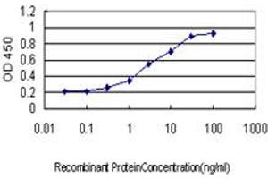 Detection limit for recombinant GST tagged POLS is approximately 0. (PAP Associated Domain Containing 7 (PAPD7) (AA 2-110) 抗体)