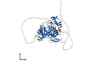 Protein Structure (PS) image for CDC-Like Kinase 2 (CLK2) (AA 1-499) protein (His tag) (ABIN7562329)