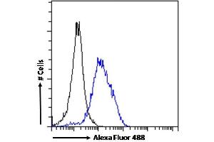 Flow Cytometry (FACS) image for anti-POU Class 3 Homeobox 3 (POU3F3) (Internal Region) antibody (ABIN571161)