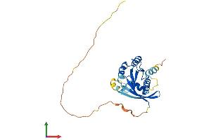 Protein Structure (PS) image for RAB26, Member RAS Oncogene Family (RAB26) (AA 1-256) protein (His tag) (ABIN7551248)