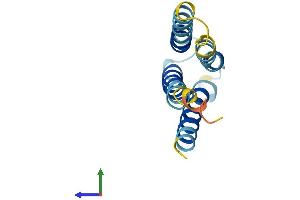 Protein Structure (PS) image for Leptin Receptor Overlapping Transcript-Like 1 (LEPROTL1) (AA 1-131) protein (His tag) (ABIN7548922)