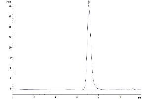 Size-exclusion chromatography-High Pressure Liquid Chromatography (SEC-HPLC) image for 5'-Nucleotidase, Ecto (CD73) (NT5E) (AA 29-549) protein (His tag) (ABIN7274238)