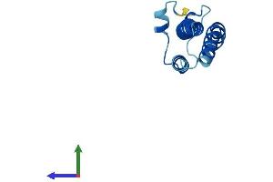 AlphaFold protein structure predicition of Mouse Recombinant Tmem18 Protein, UniprotID Q3TUD9