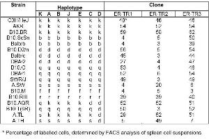 Distribution of ER-TR1, ER-TR2 and ER-TR3 among mouse strains with independent and recombinant haplotypes* (MHC Class II Antigen I Ak,d,b,q,r 抗体 (Biotin))