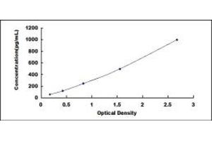 Typical standard curve (GZMM ELISA 试剂盒)