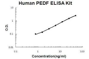 Human PEDF/SerpinF1 PicoKine ELISA Kit standard curve (PEDF ELISA 试剂盒)