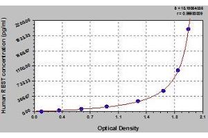 Typical standard curve (REST ELISA 试剂盒)