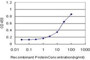 Detection limit for recombinant GST tagged ASPA is approximately 1ng/ml as a capture antibody. (ASPA 抗体  (AA 1-100))