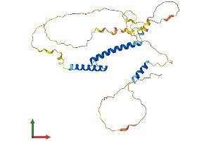 AlphaFold protein structure predicition of Human Recombinant MYOD1 Protein, UniprotID P15172