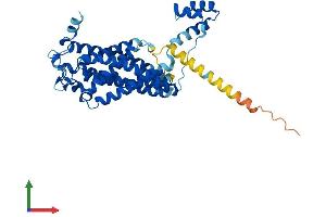 AlphaFold protein structure predicition of Human Recombinant CERS3 Protein, UniprotID Q8IU89