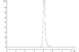 Size-exclusion chromatography-High Pressure Liquid Chromatography (SEC-HPLC) image for Interleukin 23 Receptor (IL23R) (AA 24-355) protein (His tag) (ABIN7275015)