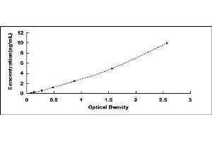 Typical standard curve (Phospholipase C gamma 1 ELISA 试剂盒)