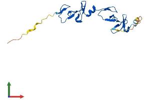 AlphaFold protein structure predicition of Human Recombinant LMO4 Protein, UniprotID P61968 (LMO4 Protein (AA 1-165) (His tag))